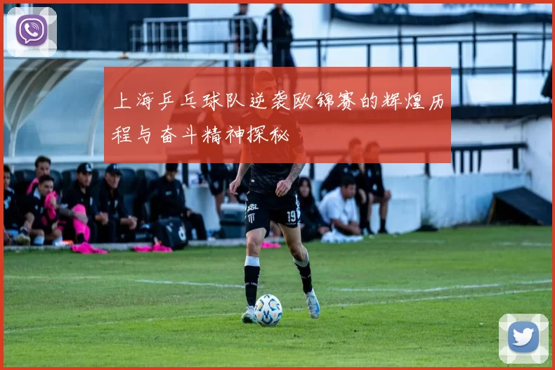 上海乒乓球队逆袭欧锦赛的辉煌历程与奋斗精神探秘