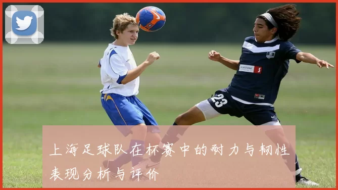 上海足球队在杯赛中的耐力与韧性表现分析与评价