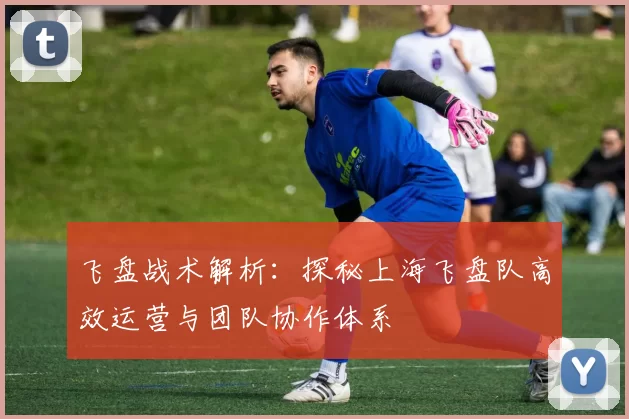 飞盘战术解析：探秘上海飞盘队高效运营与团队协作体系