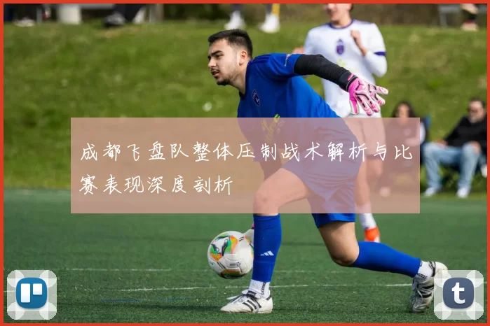 成都飞盘队整体压制战术解析与比赛表现深度剖析