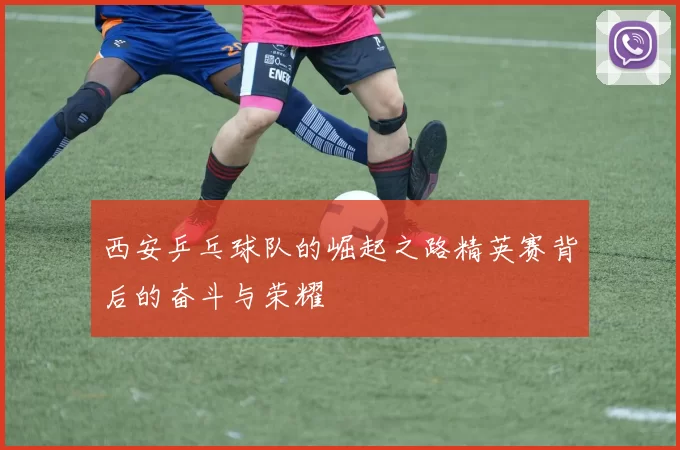 西安乒乓球队的崛起之路精英赛背后的奋斗与荣耀