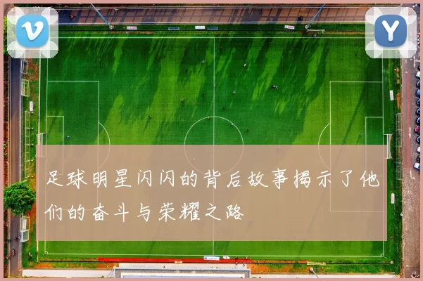 足球明星闪闪的背后故事揭示了他们的奋斗与荣耀之路