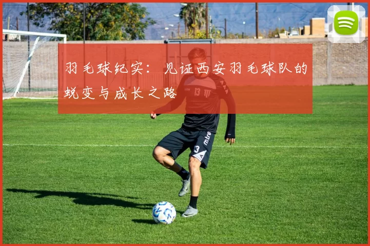 羽毛球纪实：见证西安羽毛球队的蜕变与成长之路