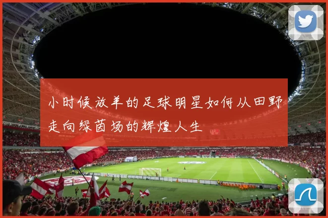 小时候放羊的足球明星如何从田野走向绿茵场的辉煌人生
