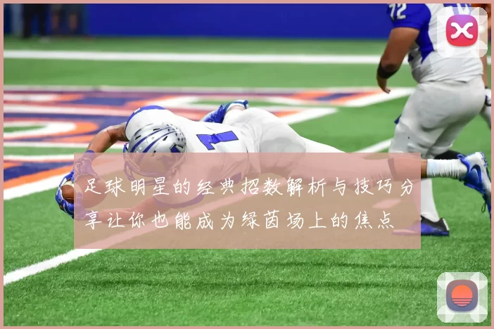 足球明星的经典招数解析与技巧分享让你也能成为绿茵场上的焦点